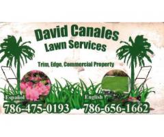 Local Lawn Service You Can Trust – David Canales Lawn Services